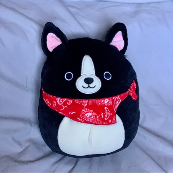 Boston Terrier Squishmallow Name Best 